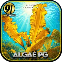 91 ALGA