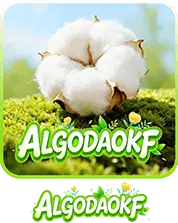 ALGODÃO KF
