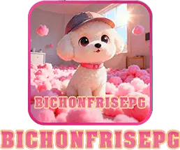 BICHON FRISE
