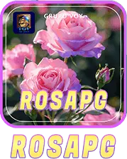 ROSA PG