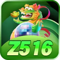 Z516